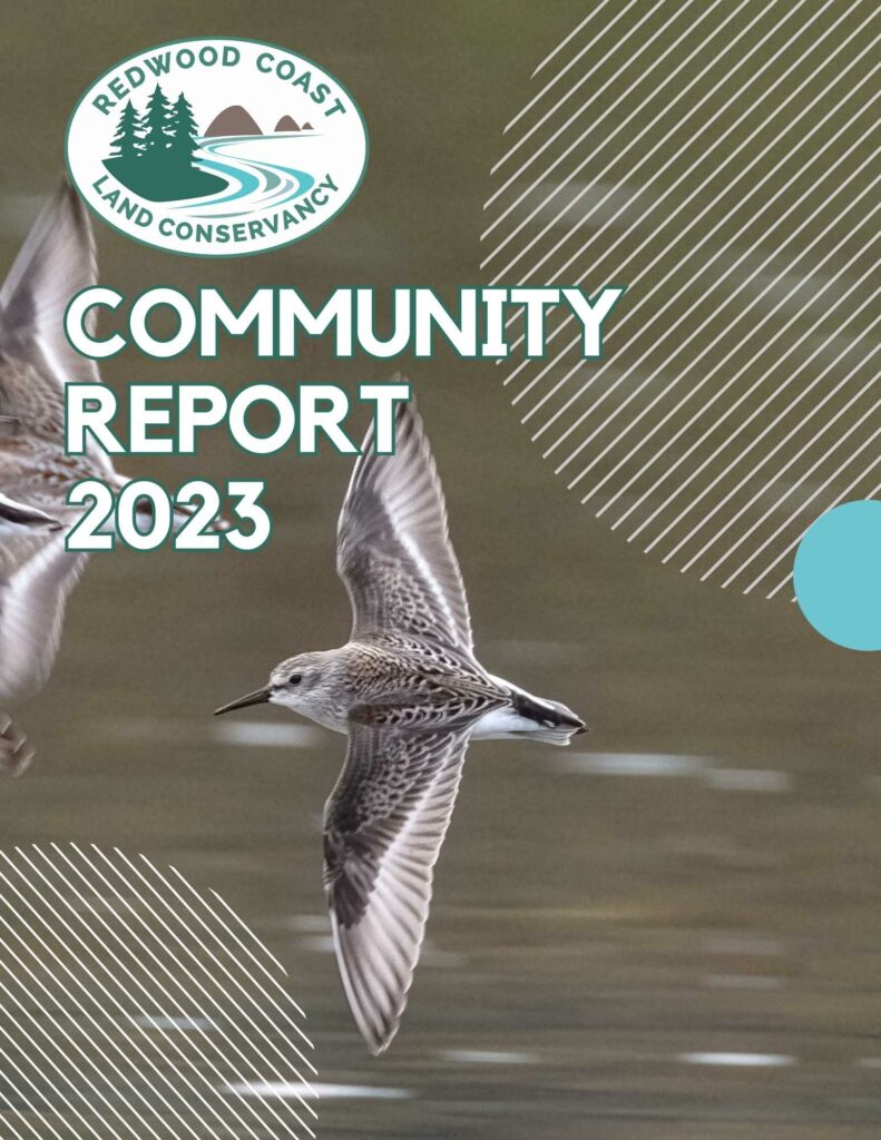 News – rclc.org